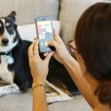  Barkcam, una aplicación para fotografiar a tu perro